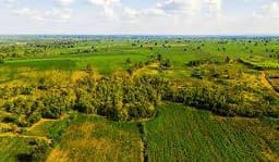 Land & Plots for Rent