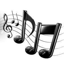 Musical Instruments & Gear